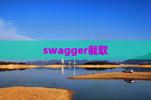 swagger截取
